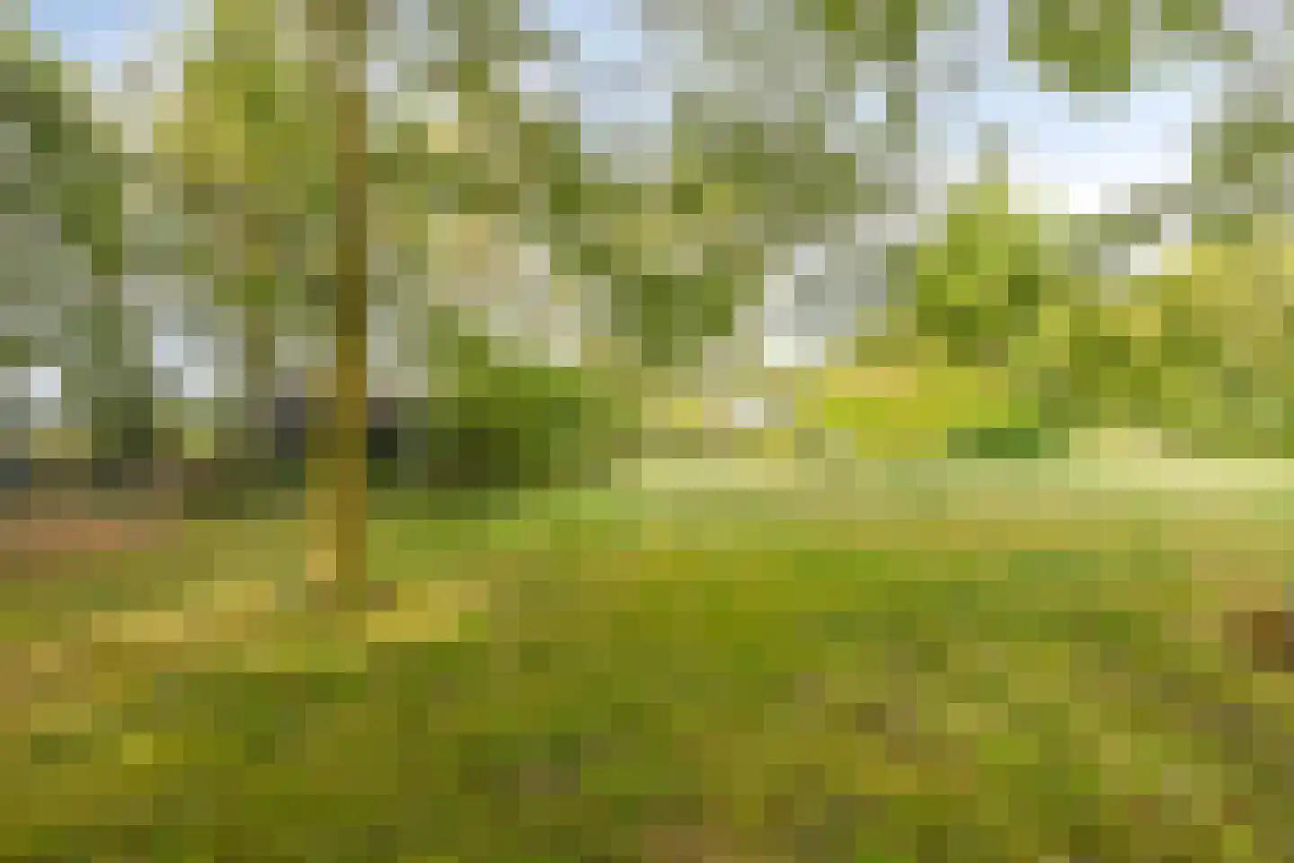 Boterkampweg 3 Uden thumbnail 65
