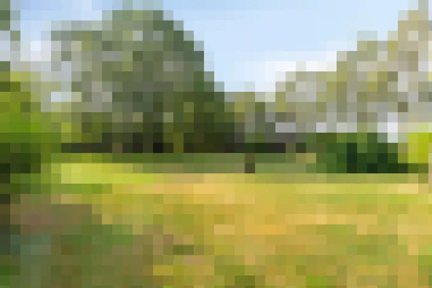 Boterkampweg 3 Uden thumbnail 66