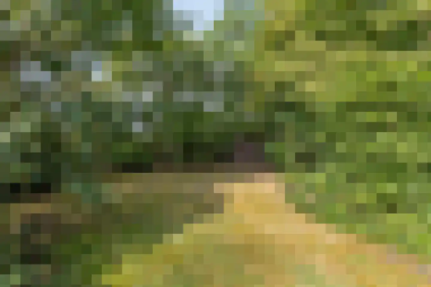 Boterkampweg 3 Uden thumbnail 67