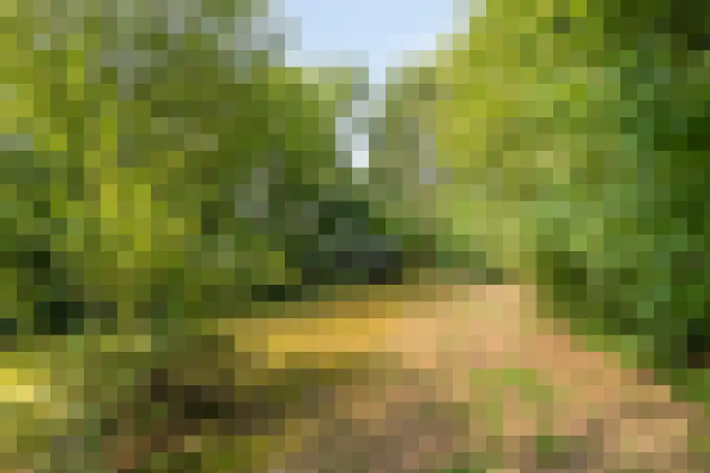 Boterkampweg 3 Uden thumbnail 68