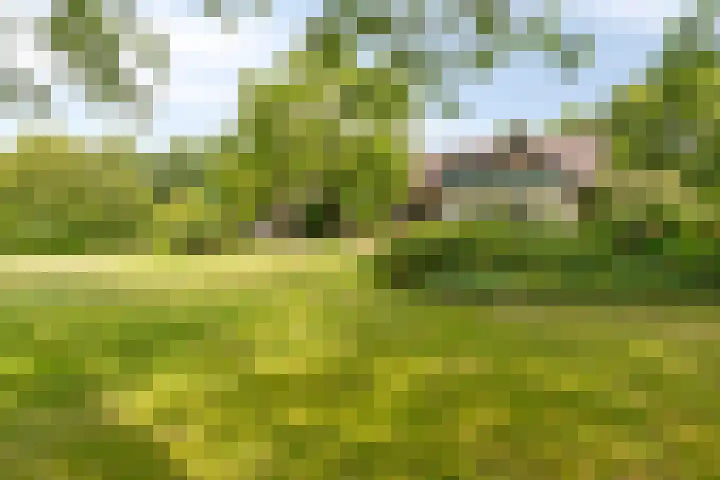 Boterkampweg 3 Uden thumbnail 69