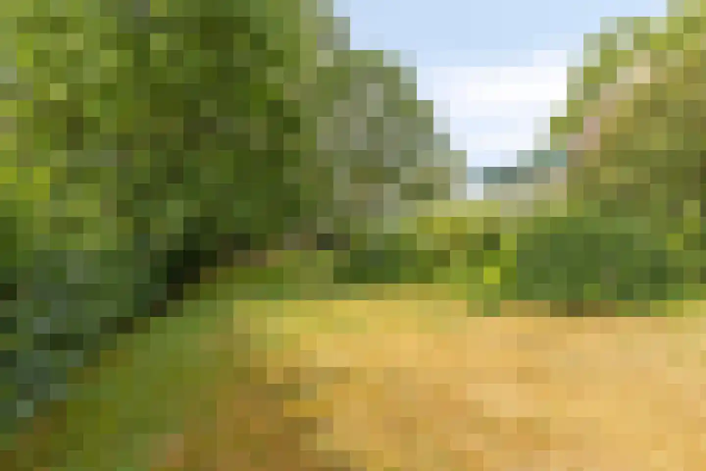 Boterkampweg 3 Uden thumbnail 72