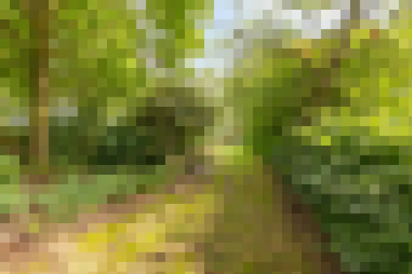Boterkampweg 3 Uden thumbnail 73
