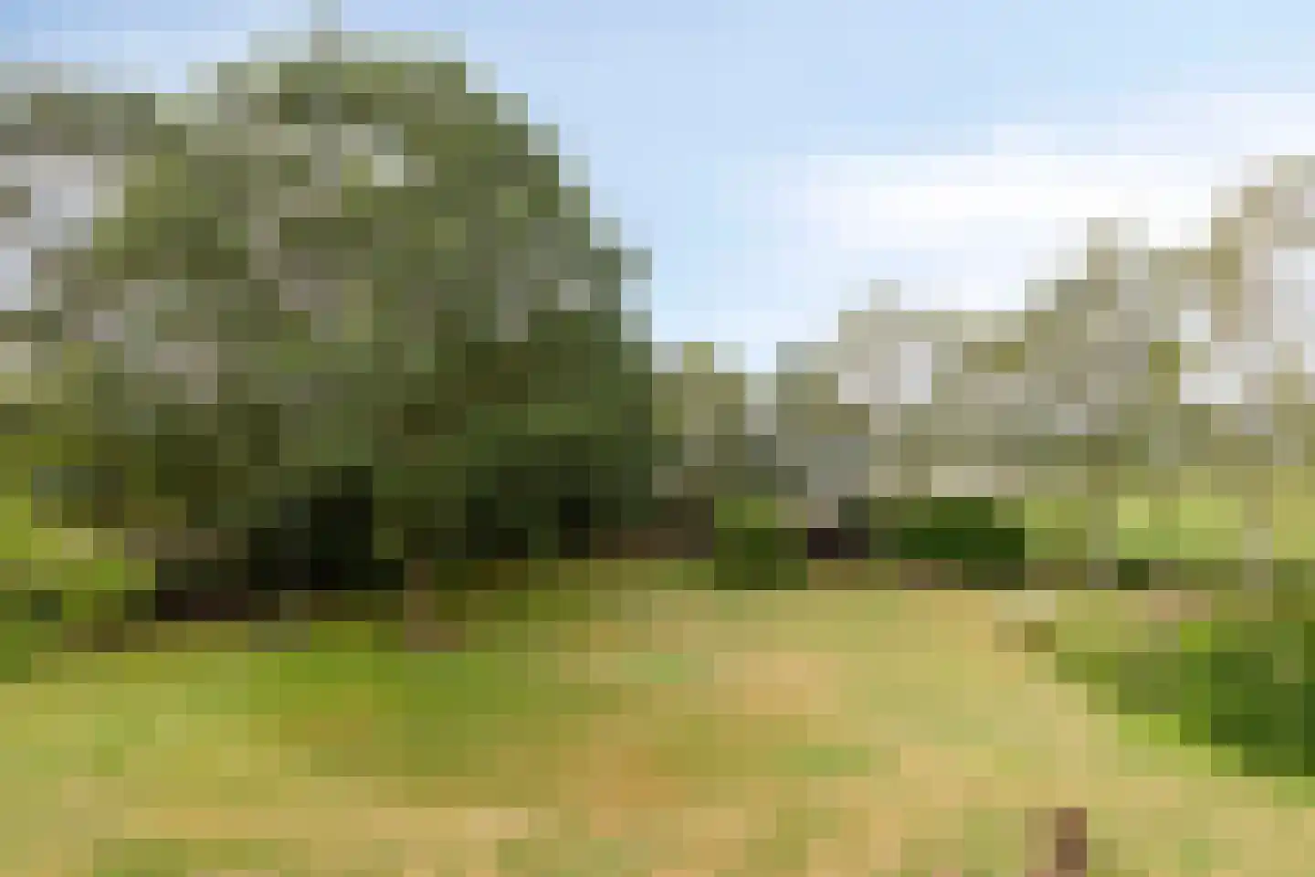 Boterkampweg 3 Uden thumbnail 76