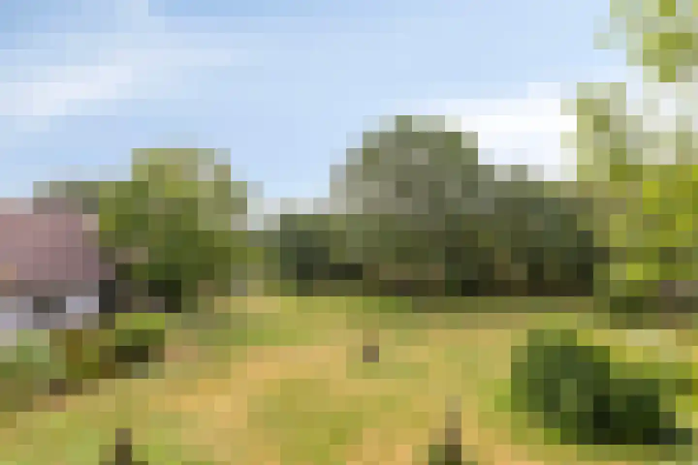 Boterkampweg 3 Uden thumbnail 77