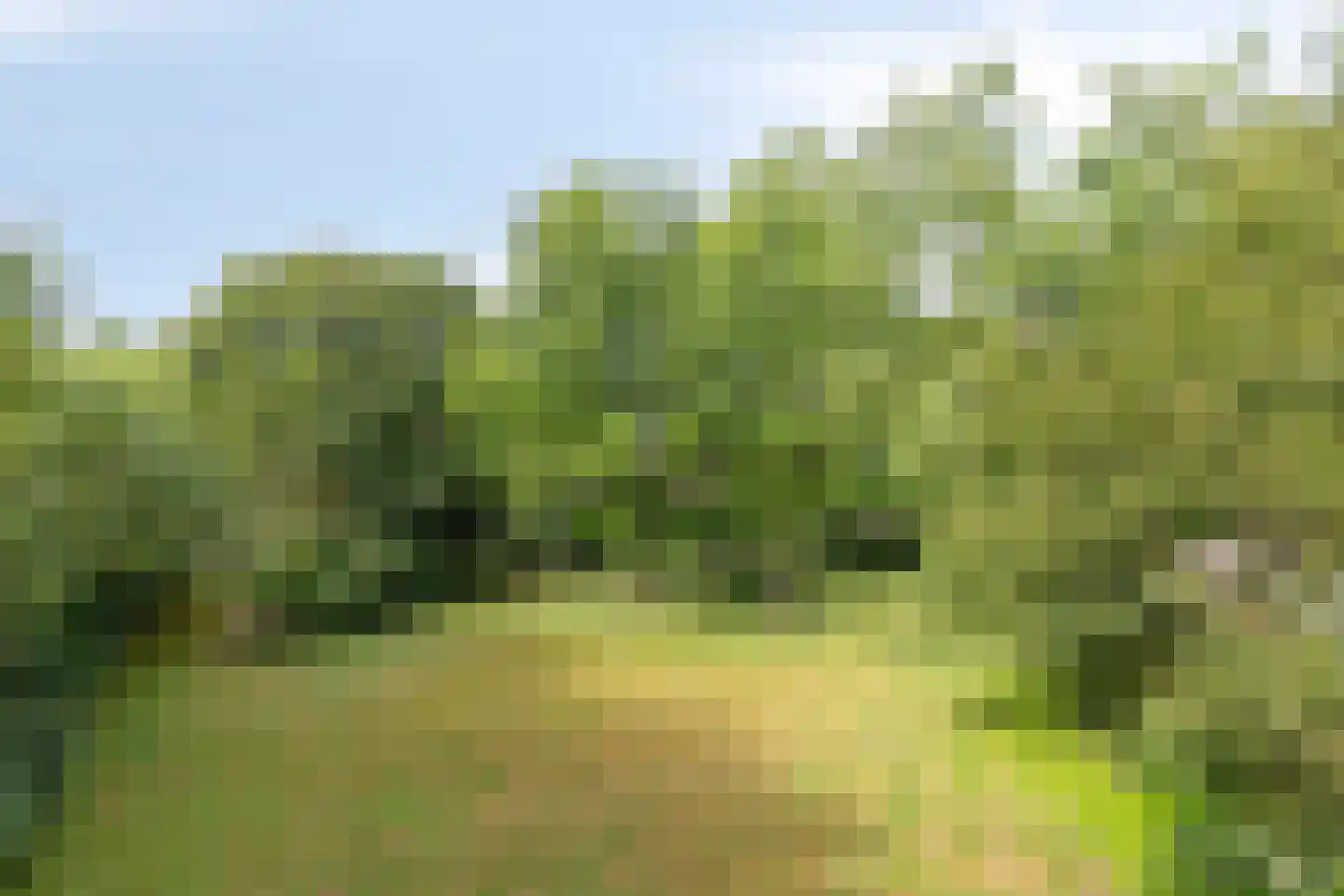 Boterkampweg 3 Uden thumbnail 78