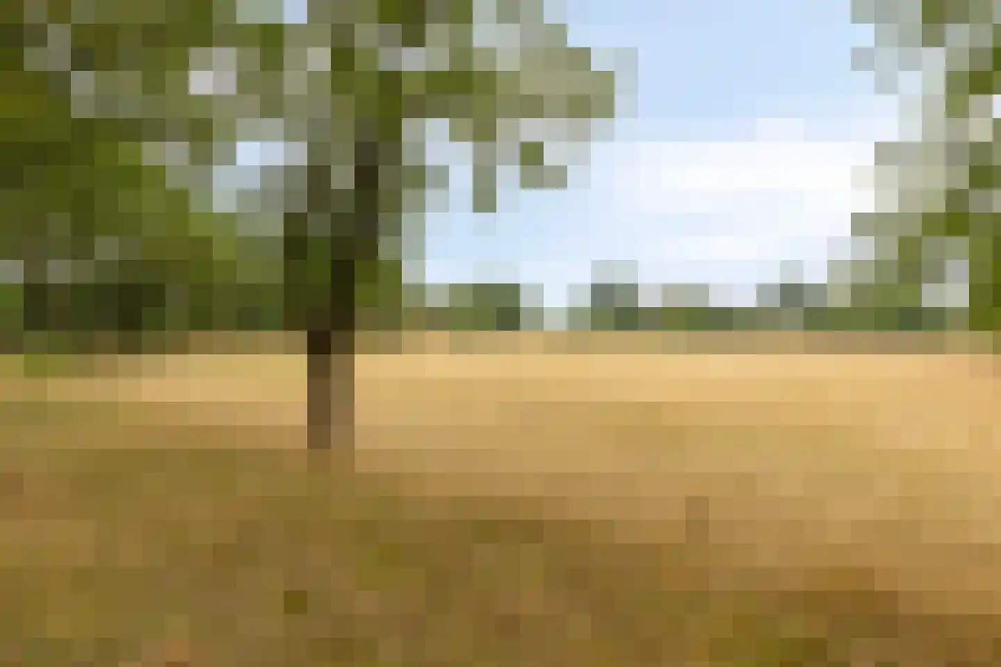 Boterkampweg 3 Uden thumbnail 79