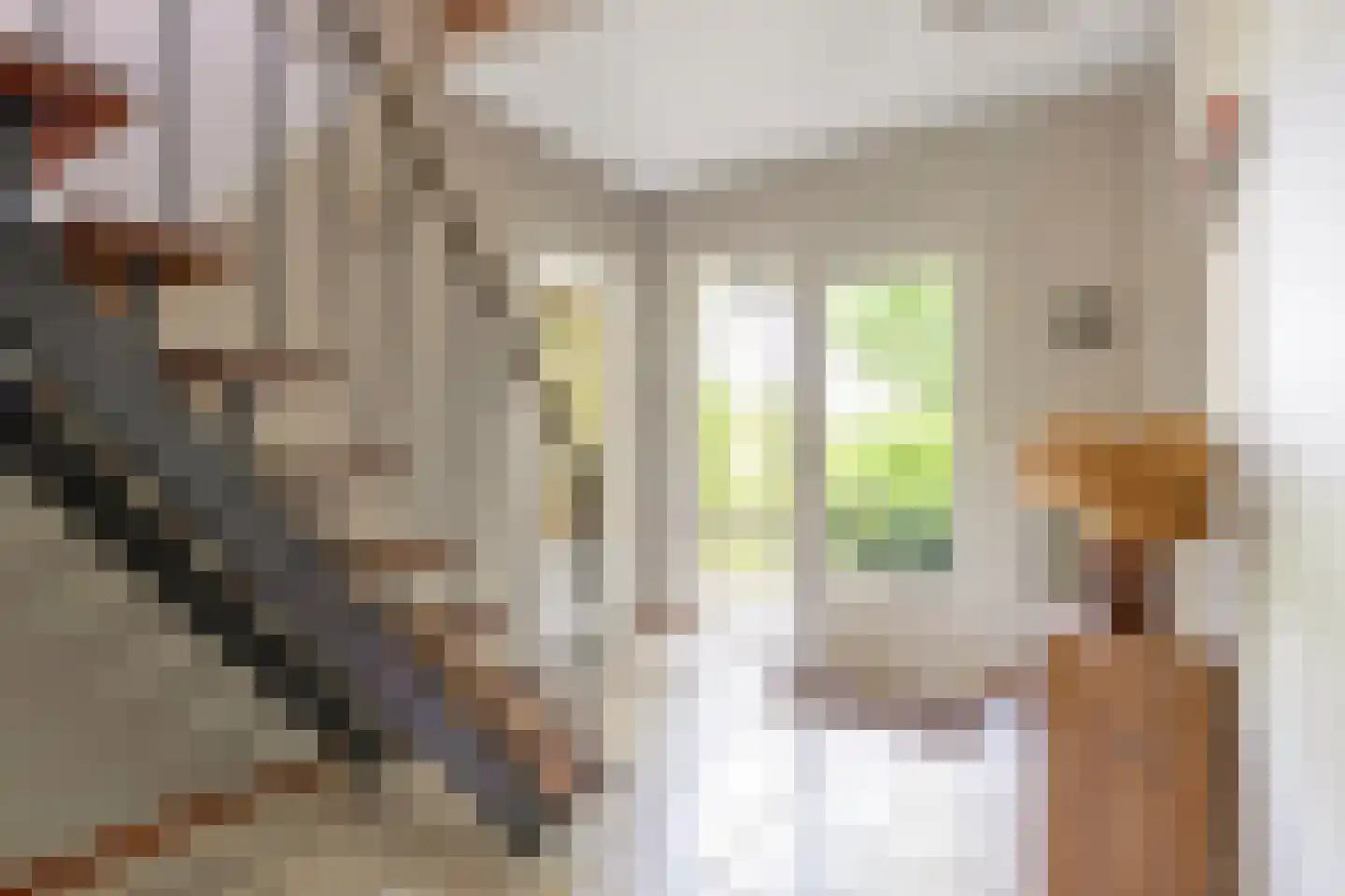 Boterkampweg 3 Uden thumbnail 8
