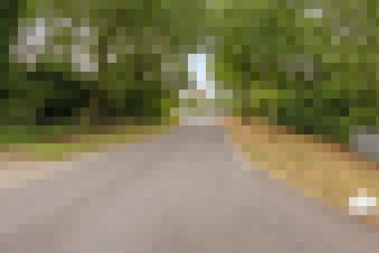 Boterkampweg 3 Uden thumbnail 81