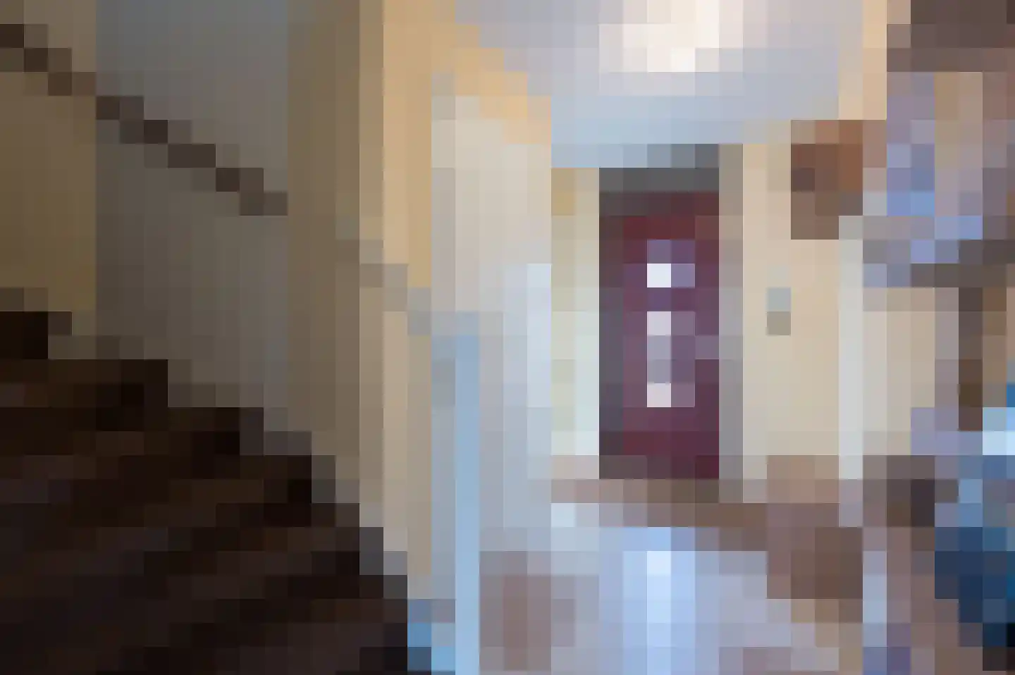 Boterkarn 4 Hellevoetsluis thumbnail 13