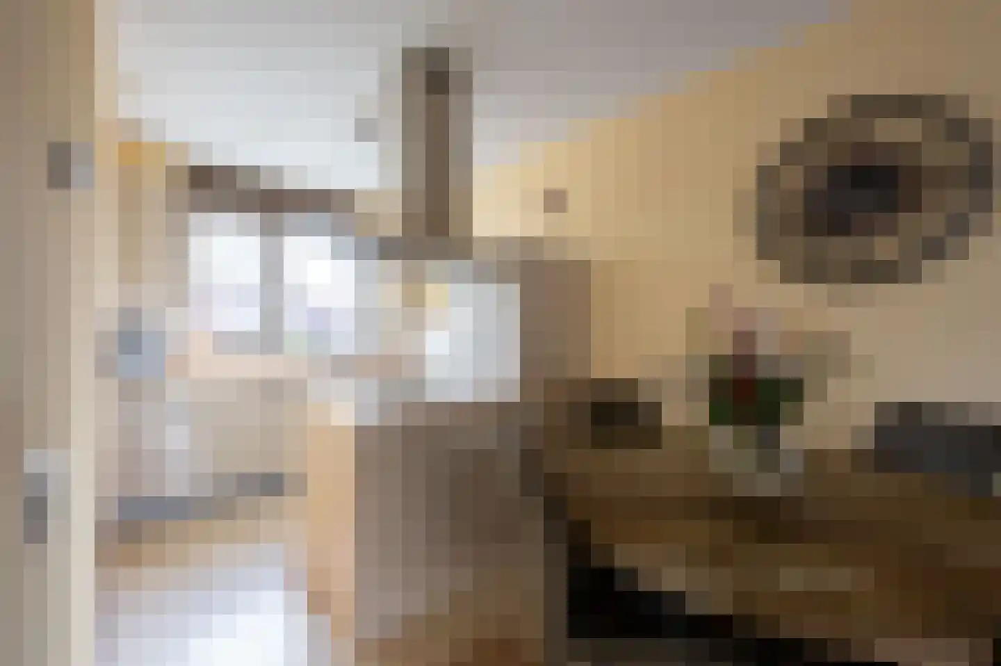 Boterkarn 4 Hellevoetsluis thumbnail 17