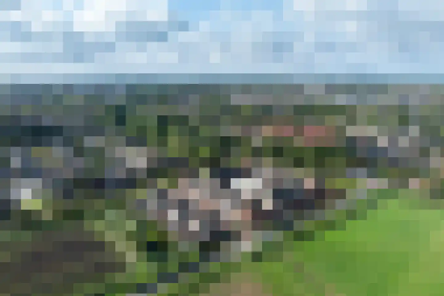 Boterkarn 4 Hellevoetsluis thumbnail 49