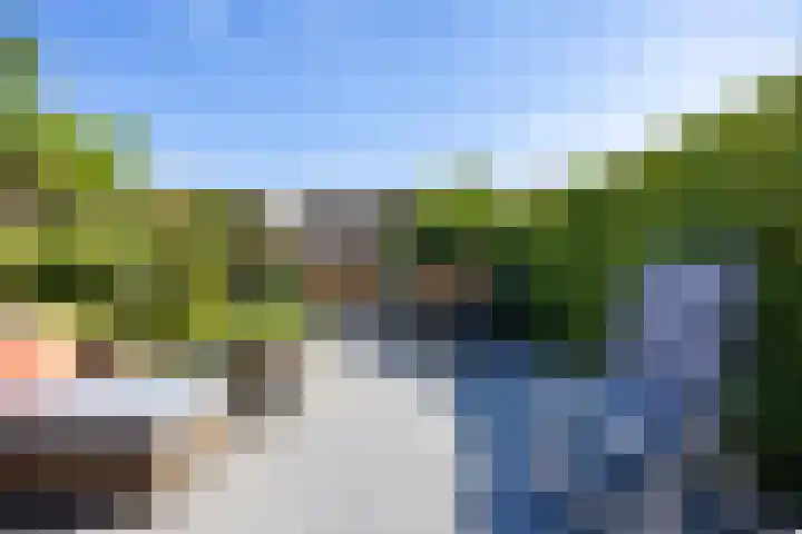 Boterkarn 62 Hellevoetsluis thumbnail 32