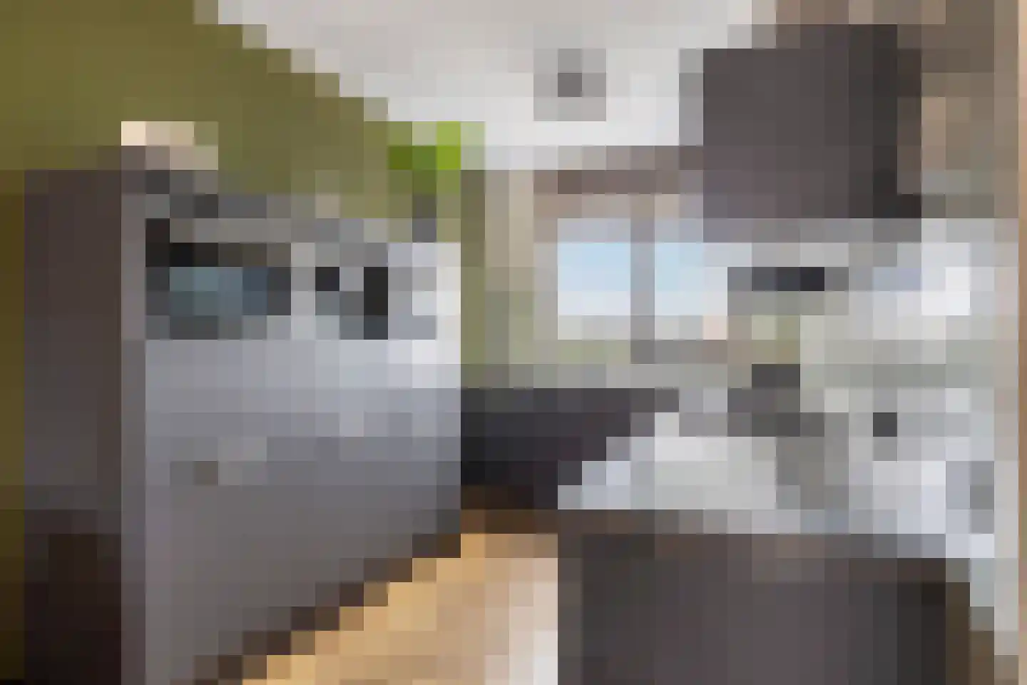Boterkarn 66 Hellevoetsluis thumbnail 18