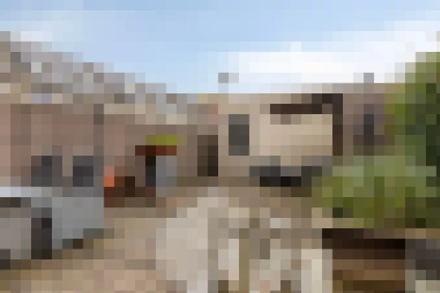 Boterkarn 66 Hellevoetsluis thumbnail 45