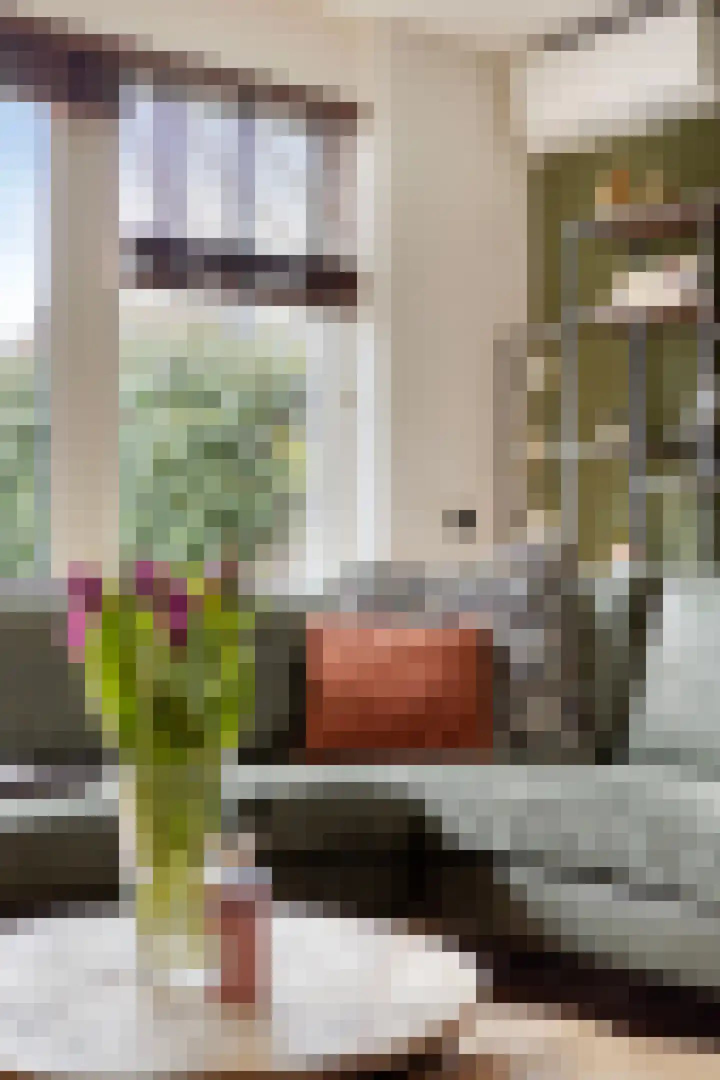 Boterkarn 66 Hellevoetsluis thumbnail 8