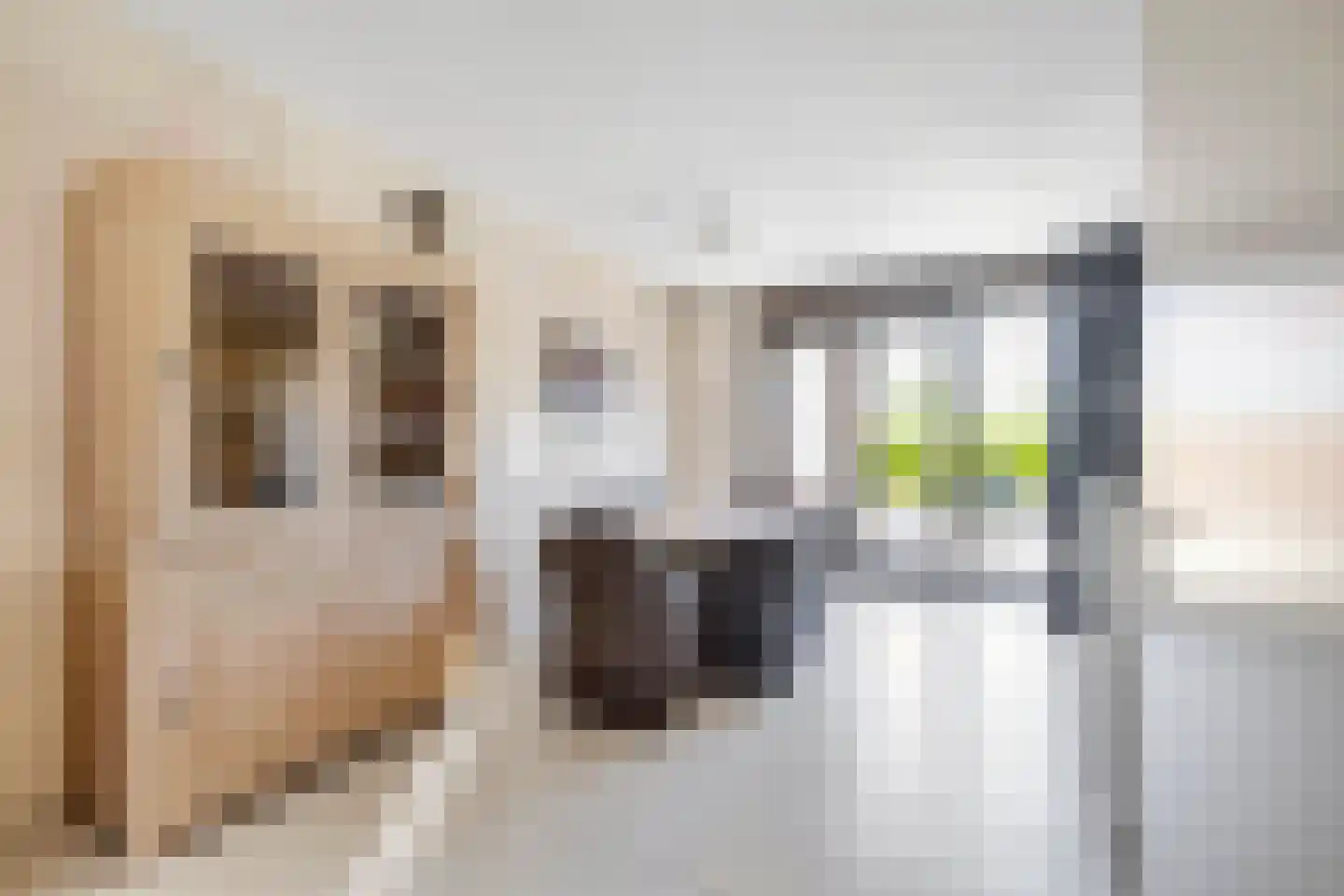 Boterkarn 7 Hellevoetsluis thumbnail 18