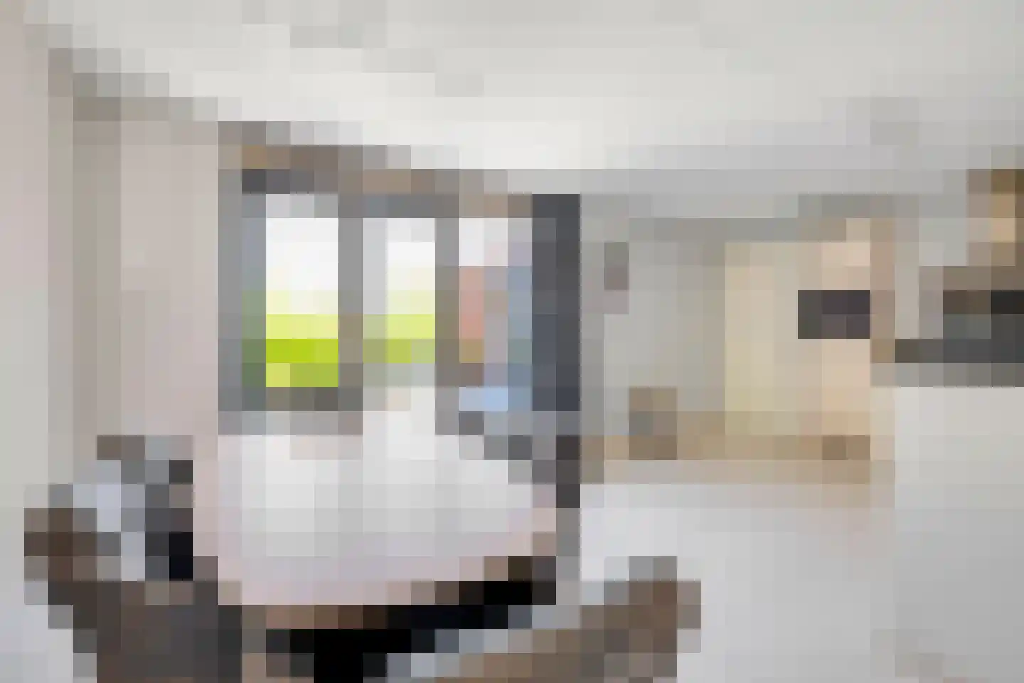 Boterkarn 7 Hellevoetsluis thumbnail 19
