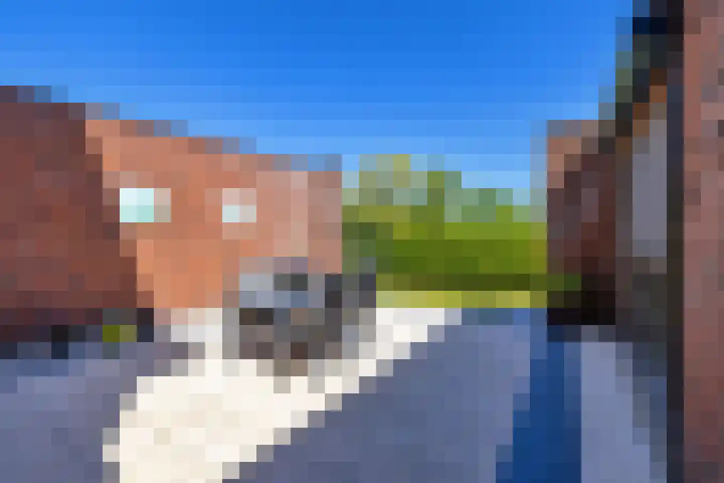Boterkarn 7 Hellevoetsluis thumbnail 35
