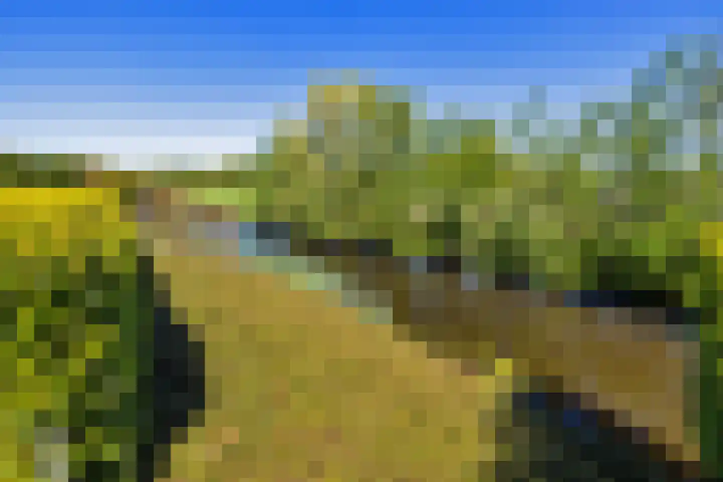 Boterkarn 7 Hellevoetsluis thumbnail 37