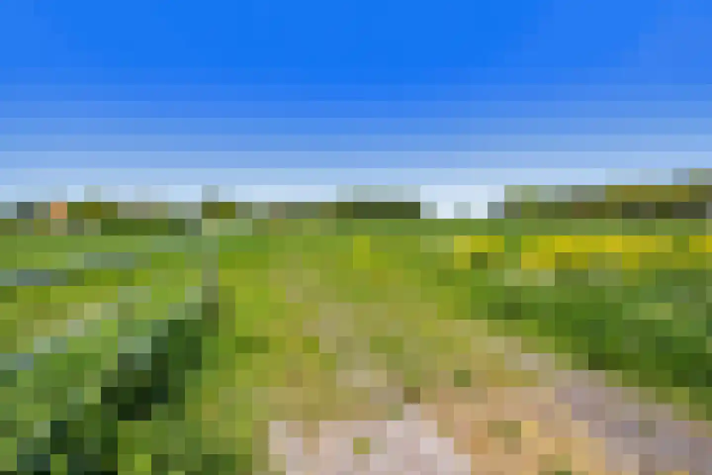 Boterkarn 7 Hellevoetsluis thumbnail 38