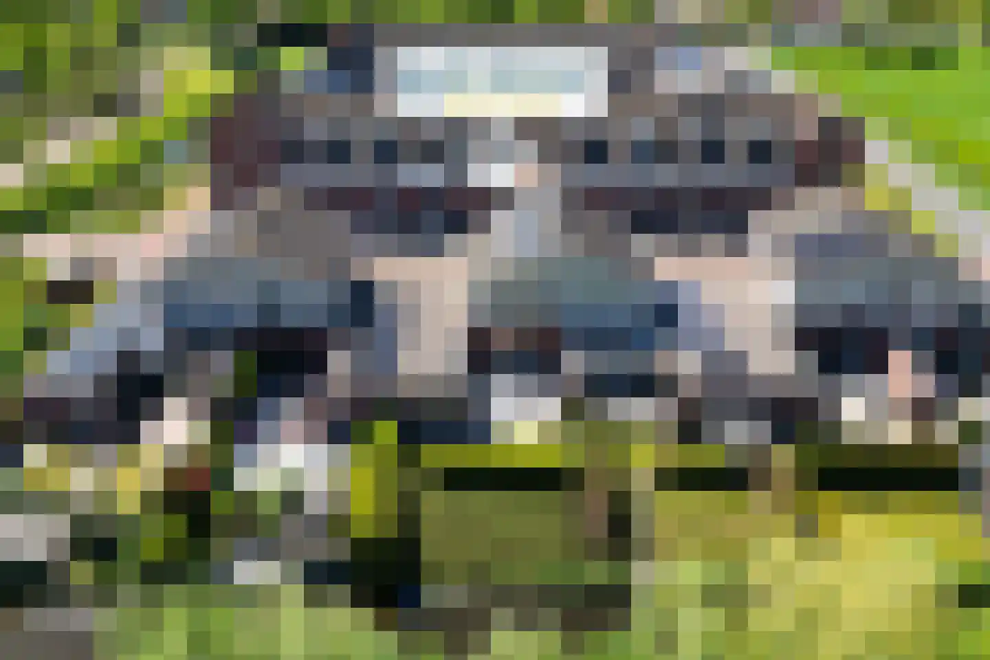 Boterkarn 7 Hellevoetsluis thumbnail 51