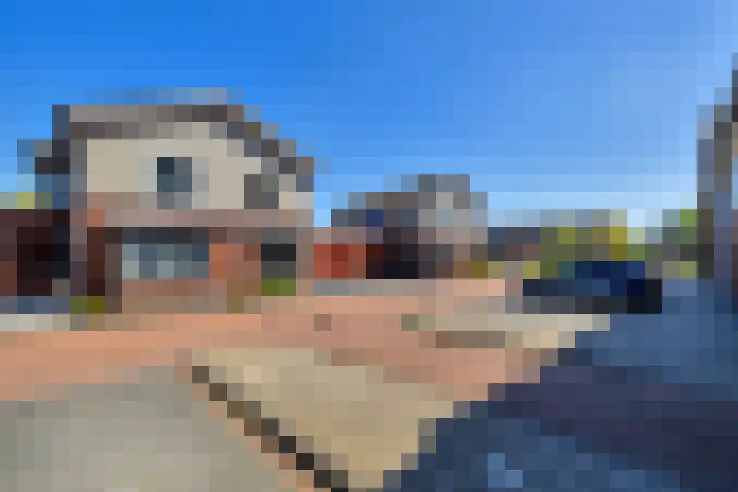 Boterkarn 7 Hellevoetsluis thumbnail 8