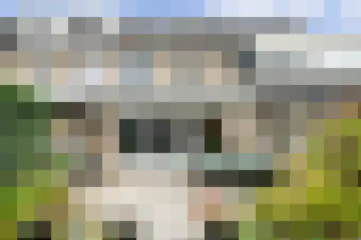 Boterkorfhoek 31 Enschede thumbnail 36