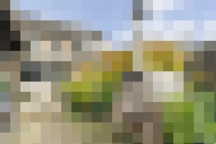 Boterkorfhoek 31 Enschede thumbnail 39