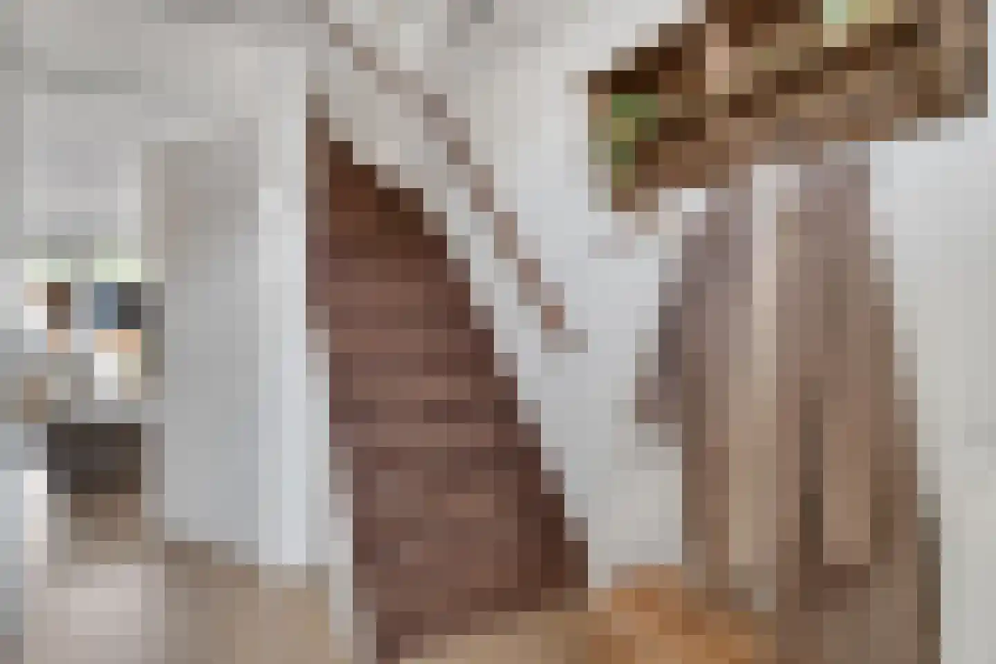 Boterkorfhoek 66 Enschede thumbnail 7