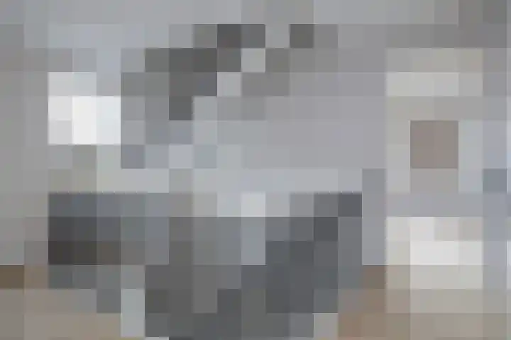 Boterland 53 Bunschoten-Spakenburg thumbnail 20