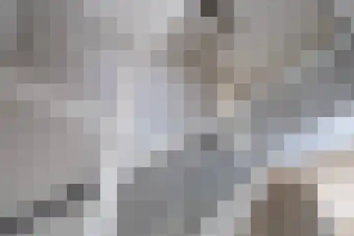 Boterland 53 Bunschoten-Spakenburg thumbnail 6
