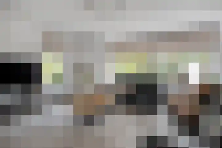Botermakerses 2 Dalfsen thumbnail 13