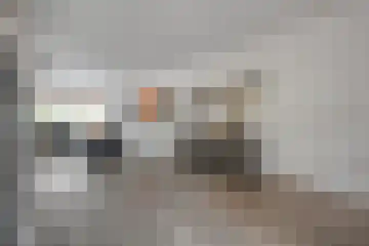 Botermakerses 2 Dalfsen thumbnail 18