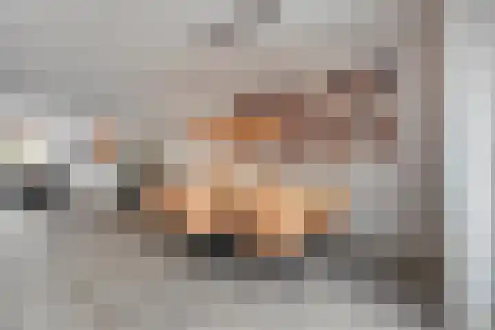 Botermakerses 2 Dalfsen thumbnail 19