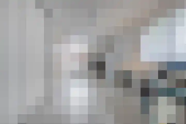 Botermakerses 2 Dalfsen thumbnail 27