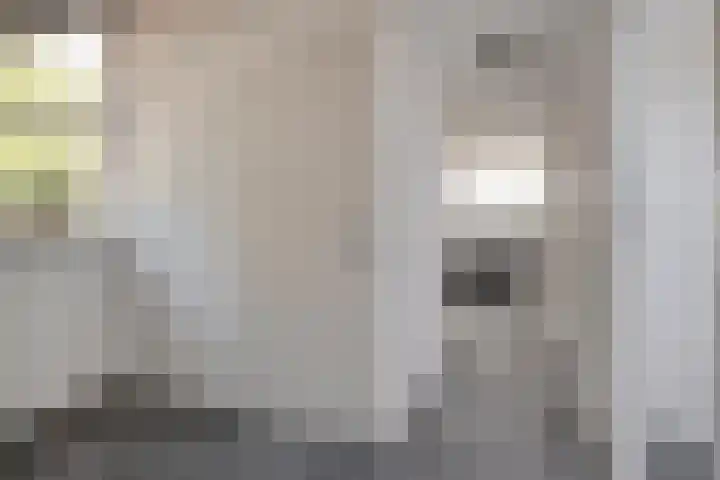 Botermakerses 2 Dalfsen thumbnail 41