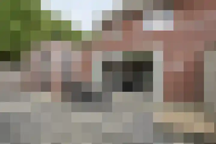 Botermakerses 2 Dalfsen thumbnail 46