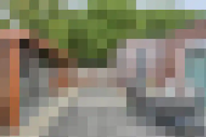 Botermakerses 2 Dalfsen thumbnail 47