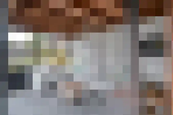 Botermakerses 2 Dalfsen thumbnail 48