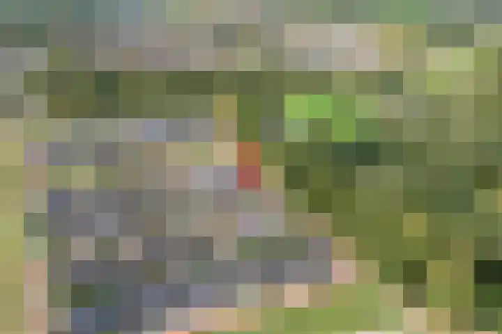 Botermakerses 2 Dalfsen thumbnail 50