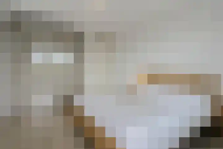 Botermarkt 109 Uden thumbnail 11