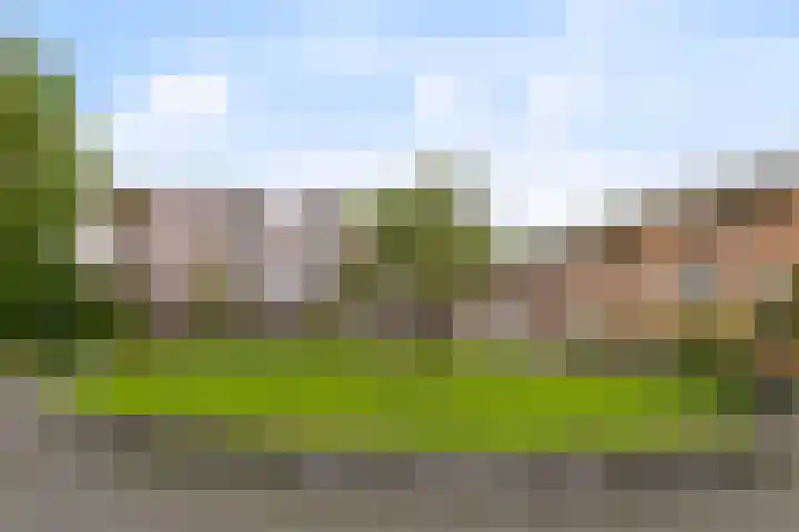 Botermarkt 109 Uden thumbnail 25