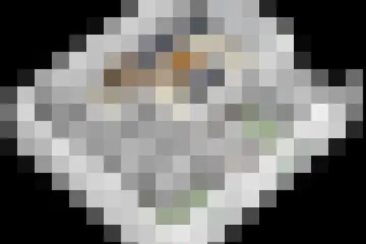 Botermarkt 109 Uden thumbnail 28