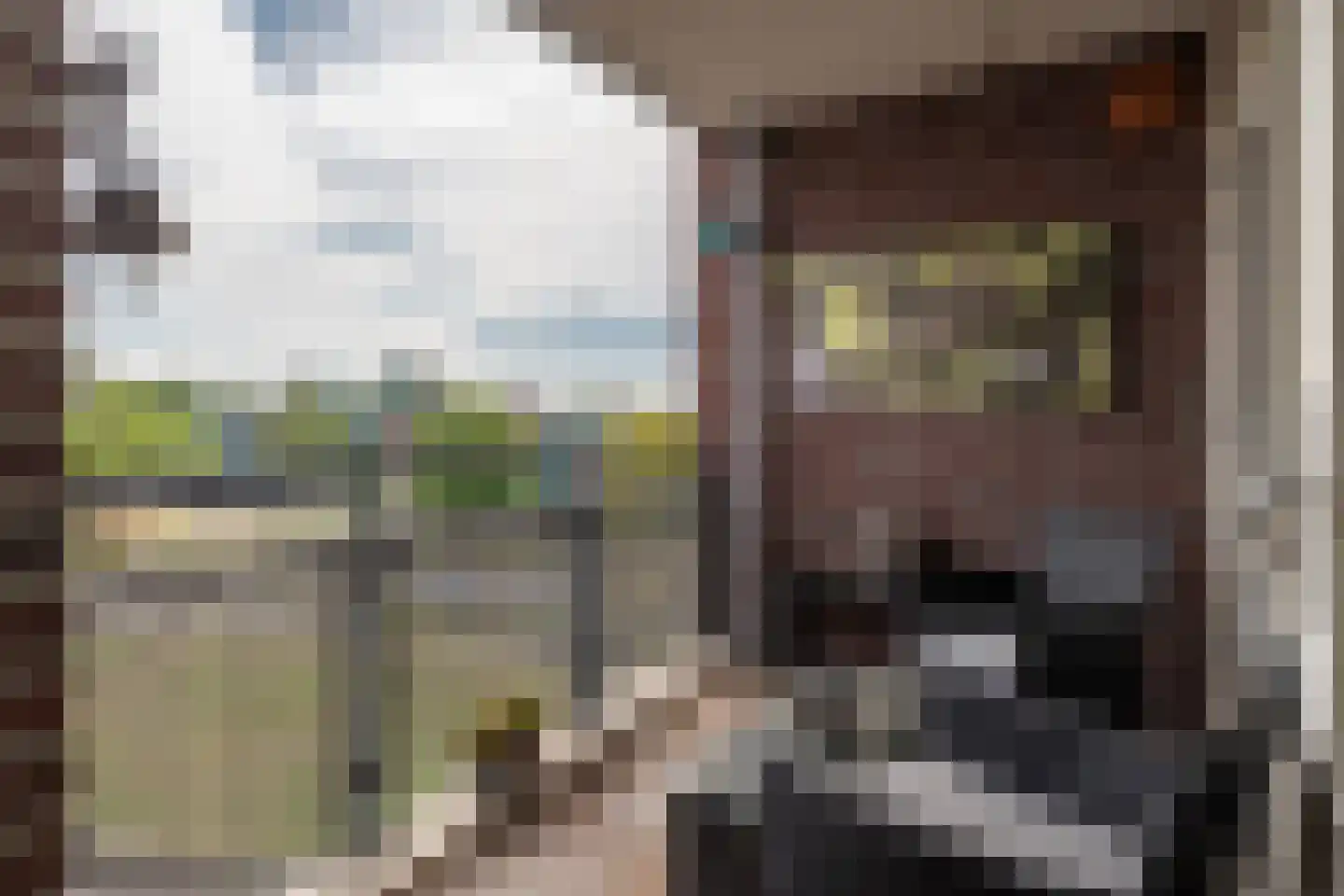 Botermarkt 119 Uden thumbnail 22