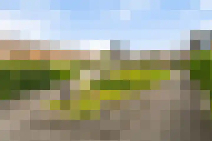 Botermarkt 127 Uden thumbnail 33