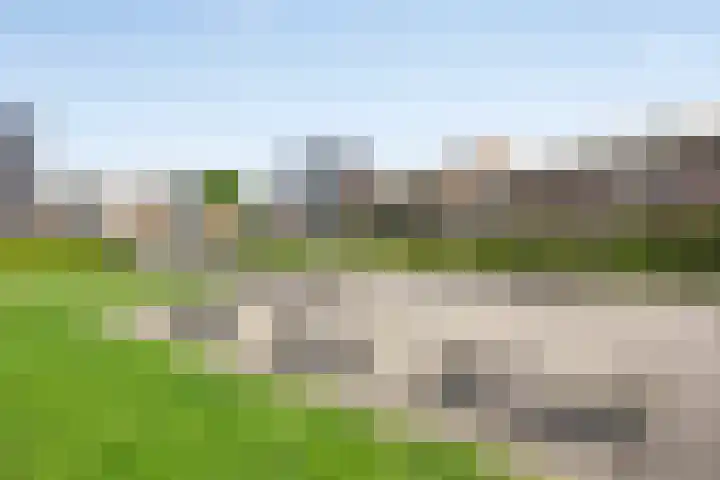 Botermarkt 127 Uden thumbnail 34
