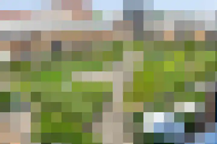 Botermarkt 127 Uden thumbnail 35