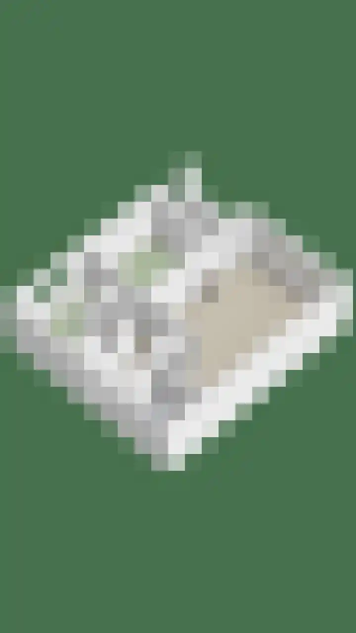 Botermarkt 127 Uden thumbnail 39