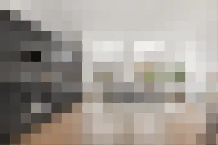 Botermarkt 3 A in Leiden